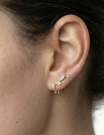 14K-Y CLIMBER LEAF EARR., 0.20CT